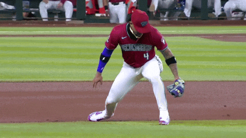 Shaking Major League Baseball GIF by MLB