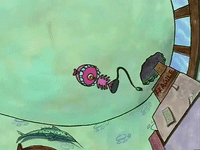 nicksplat GIF