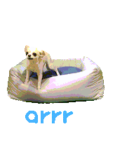 아르르 Sticker by arrr_official