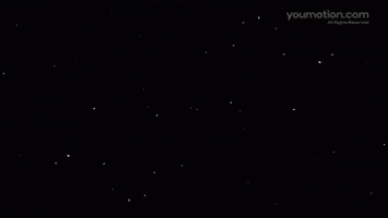 Animated logo animation pro motion