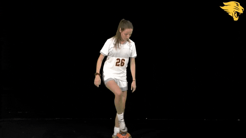 D3Soc Cuc19 GIF by CUCougars