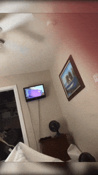 Alwayzbratz GIF by Flickplay