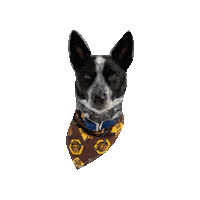 Exterminate Cattle Dog Sticker by Geekster Pets