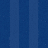 Football Goal GIF by Odense Boldklub