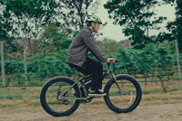 Cycling F1 GIF by AA23