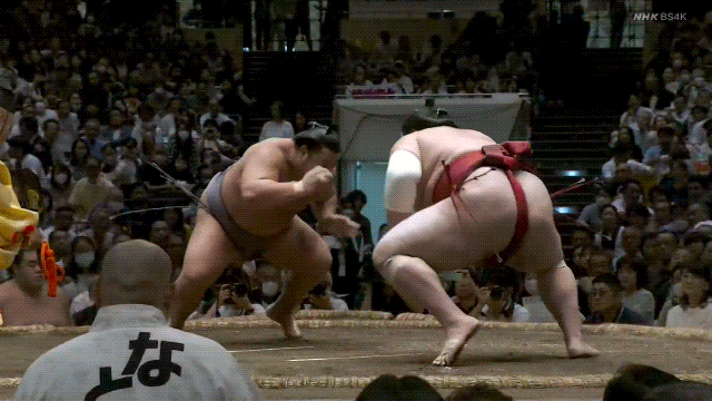 TZ85 giphyupload sumo 2023 aki basho tobizaru GIF