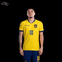 Fifa World Cup Ecuador GIF by Respective