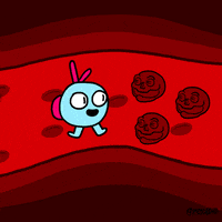 Blood Vein GIF by Animation Domination High-Def