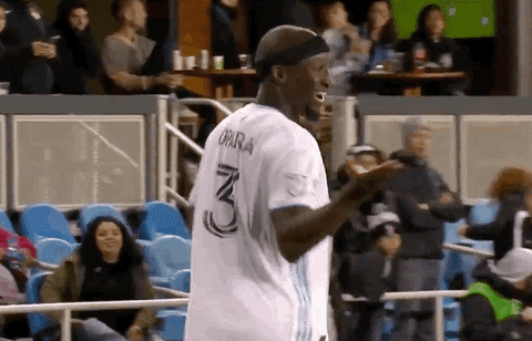 Minnesota United What GIF by Major League Soccer