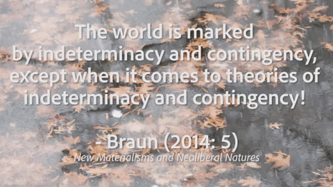 braun contingency GIF