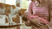 mom GIF