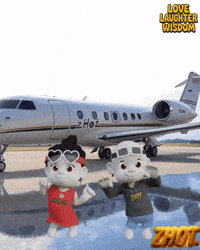 Moda Viajar GIF by Zhot