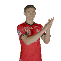 Handball Handballbundesliga Sticker by MT Melsungen