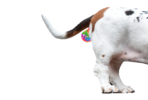 dog rainbow Sticker