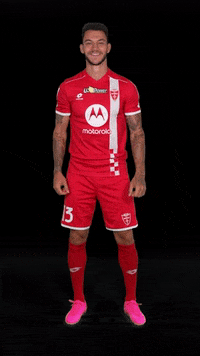 Pereira GIF by acmonza