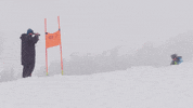 Team Usa Sport GIF by U.S. Ski & Snowboard Team