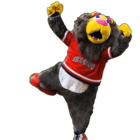 Santo Domingo Baseball Sticker by Franck Arnel