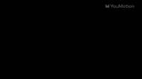 Animated Followers Subscribe Typography