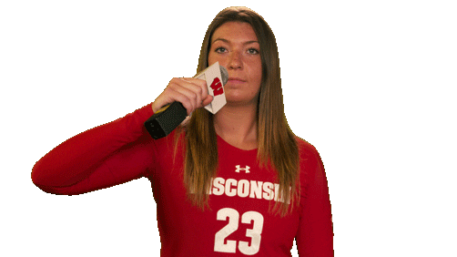 Wisconsin Volleyball Sport Sticker by Wisconsin Badgers