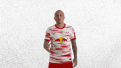 Dont Like Oh No GIF by RB Leipzig