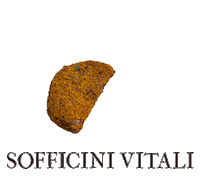 Meat Carne Sticker by macelleriafratellivitale