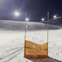 Silchukgif GIF