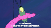 season 9 safe deposit krabs GIF by SpongeBob SquarePants