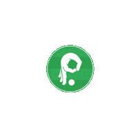 plakks football futbol premiere laliga Sticker