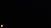 dance party GIF
