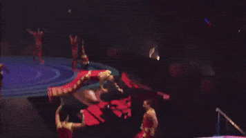 Style Cheer GIF by Ringling Bros. and Barnum & Bailey