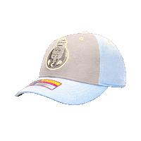 Fc Porto Football Sticker by FAN INK