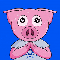 Piggyverse nft nervous piggy cardano GIF