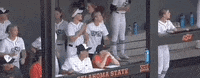 Oklahoma State Texas GIF by NCAA Championships