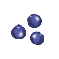 Italian Ice Blueberry Sticker by DeeBee's