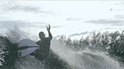 surf dude GIF by Digg