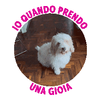 Skin Care Dog Sticker by VeraLab
