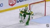 Happy Fun GIF by NHL