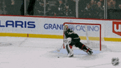 Happy Minnesota Wild GIF by NHL