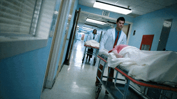 fox tv GIF by ScreamQueens