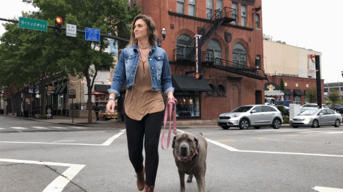 giphyupload dog nashville downtown nashville GIF
