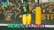 Football Celebrate GIF by Imaginal Biotech