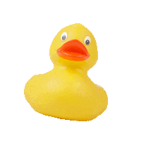 duck apeldoorn Sticker by Blinq - the ultimate carwash