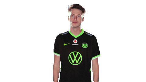 E Sports Sport Sticker by VfL Wolfsburg