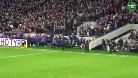 skagk giphygifmaker GIF