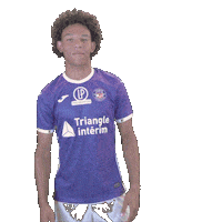 Stadium Occitanie Sticker by Toulouse Football Club