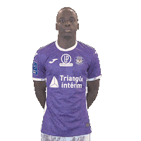Soccer Stadium Sticker by Toulouse Football Club