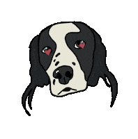 Border Collie Dog Sticker