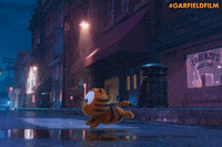 Cat Autos GIF by Sony Pictures Germany