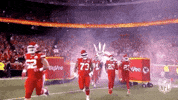 2018 Nfl Football GIF by NFL