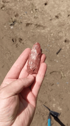 MOhunting giphyupload GIF